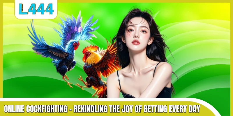 Online cockfighting - Rekindling the joy of betting every day