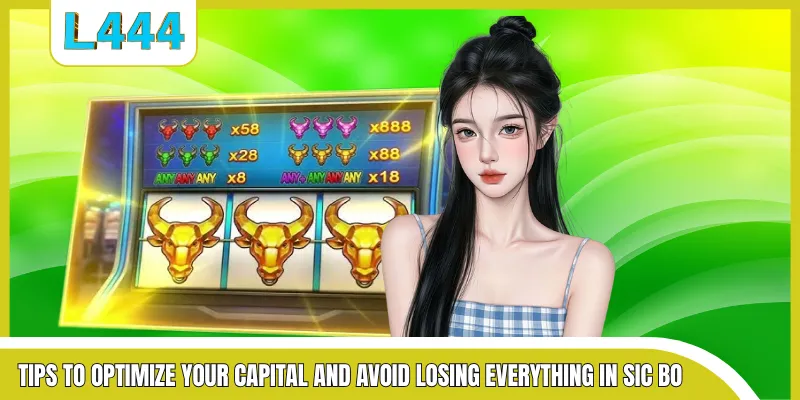 Tips to optimize your capital and avoid losing everything in Sic Bo